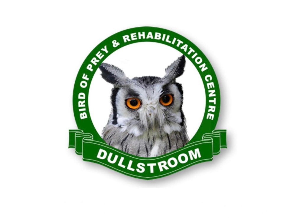 Dullstroom Bird of Prey logo